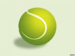 2025东风·岚图汽车武汉网球公开赛开票宠粉升级打造球迷盛宴